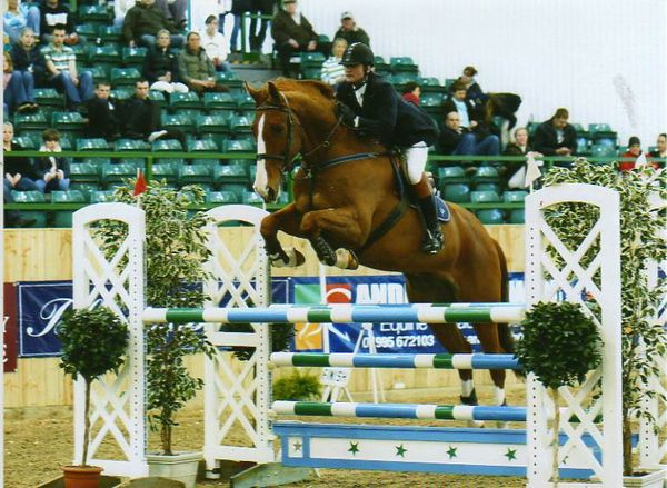 Oscars Way - Showjumping